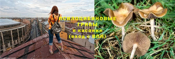 первитин Дмитриев