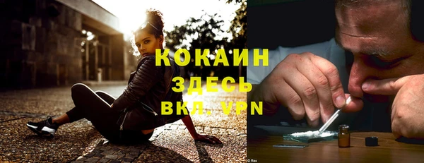 соль курить ск Дмитровск