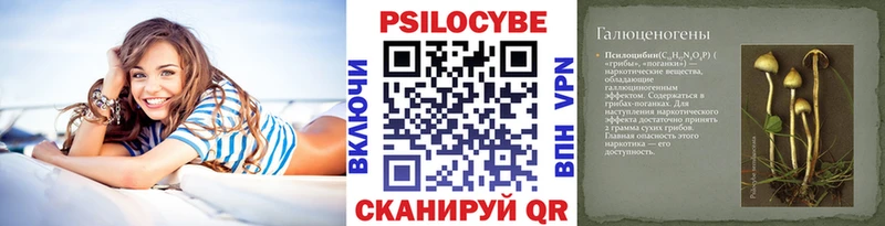 Псилоцибиновые грибы MAGIC MUSHROOMS  где купить   Ейск 